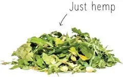 just hemp thee