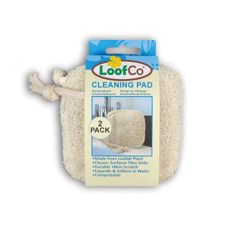2-pack Cleaning Pad