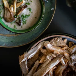 rotterzwam recept