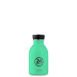 24 bottles urban mint 250ml