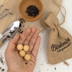 blossombs giftbox mini4 lifestyle