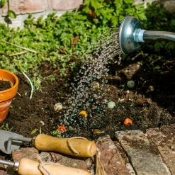 blossombs giftbox mini4 wateren