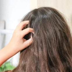 luizenshampoo petites tetes