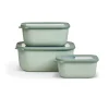 Nordic Sage L