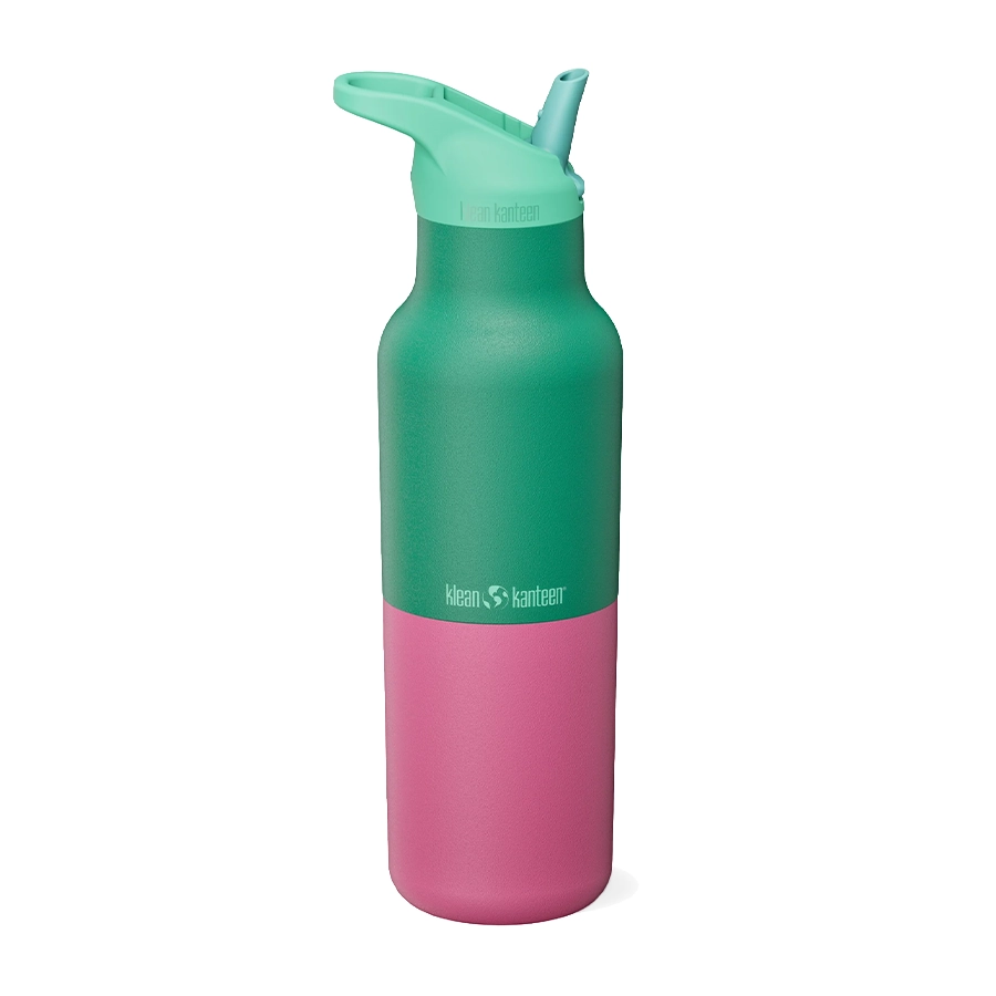 klean kanteen drinkfles kaleidoscope Parakeet